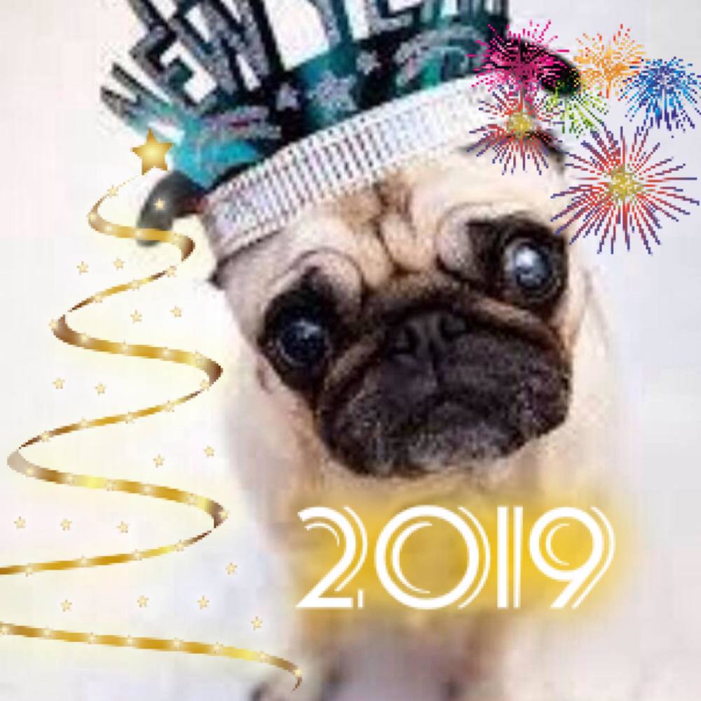 Meet your Posher, Chrissy